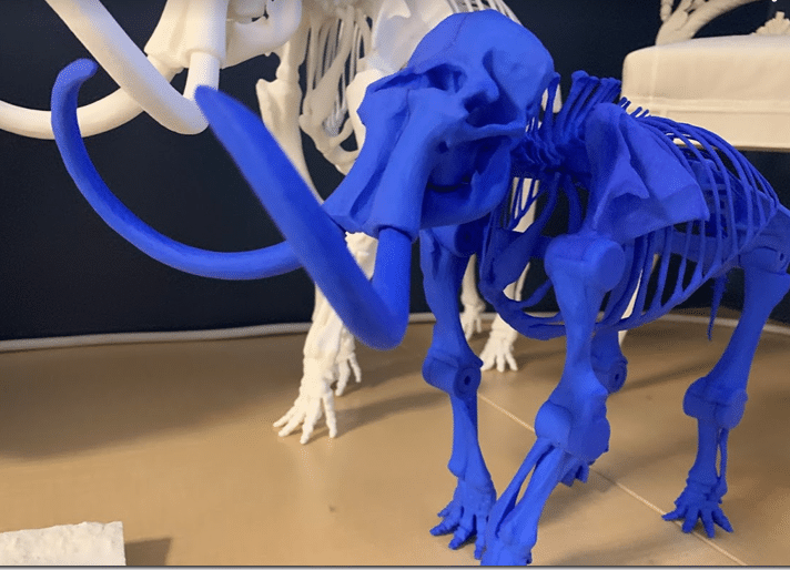 3D atspausdintas surenkamas mamuto skeletas